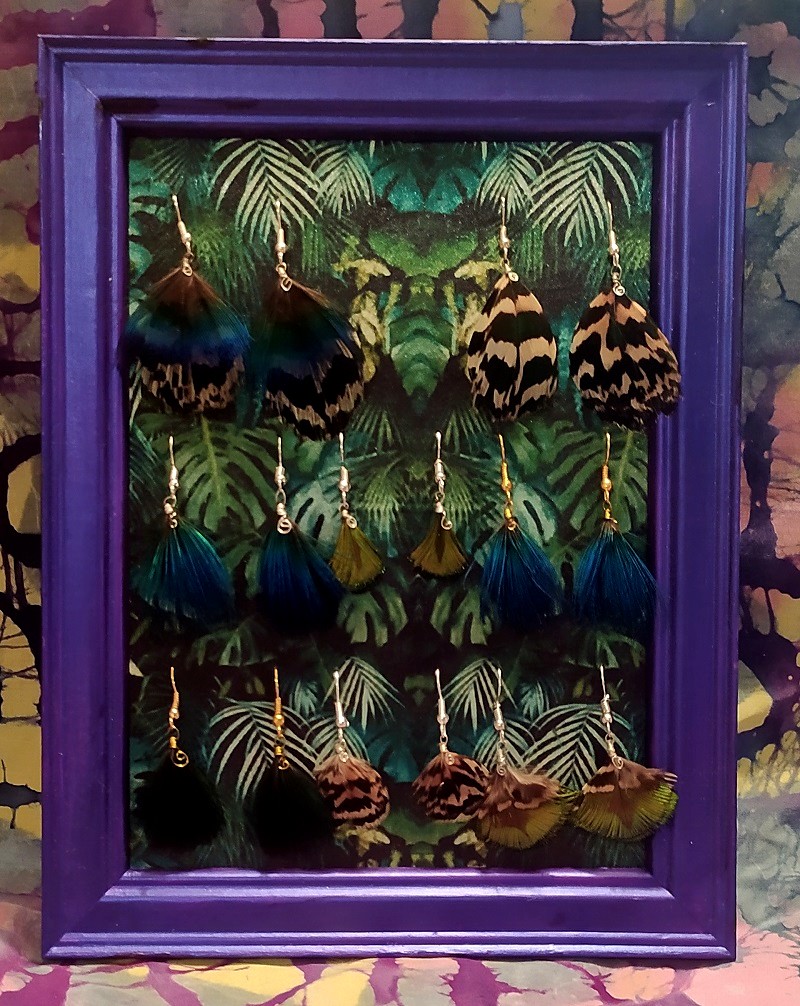 Cadres présentoirs plumes 