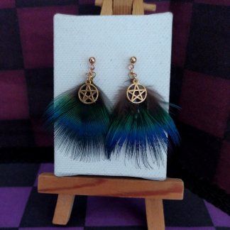 Clous d'oreilles plumes de paon