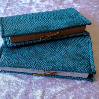 Etui livre manga dragon